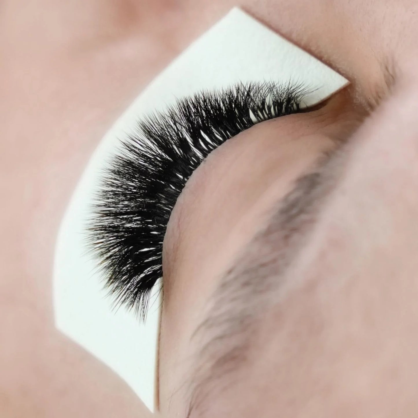 Lash Foam Tape (Pack Of 3)
