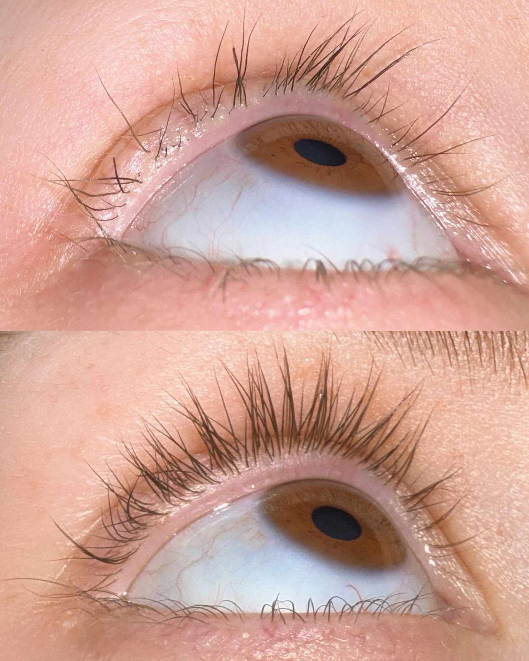 Lash Growth Serum
